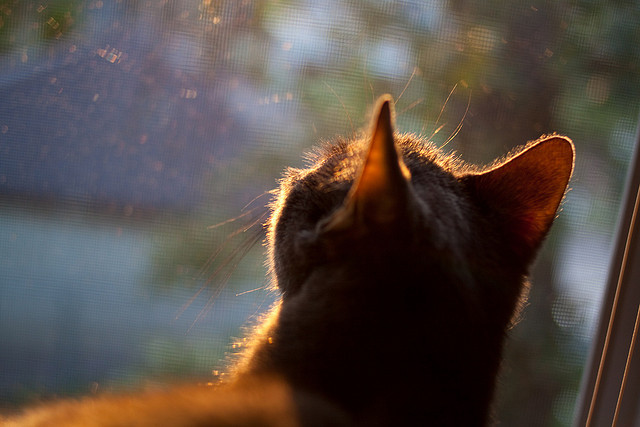 2022年季后赛：库里带领勇士绝地反击，成功晋级下一轮，库里季后赛胜场数
