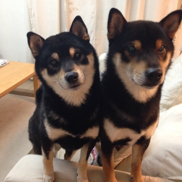 _绿色竞技：环保型场地推动可持续发展_，绿色环保设施