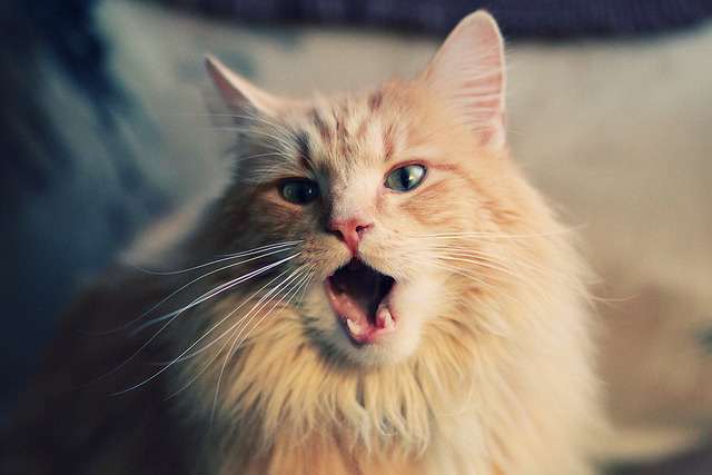 _逆境反弹：赛场上的奇迹逆转瞬间_，逆境中反弹