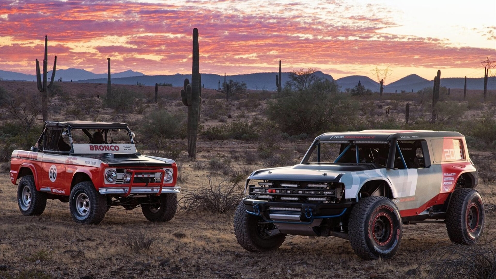 KAIYUNAPP-“青训电子报名系统正式启用，提升报名效率”，青训营报名方法