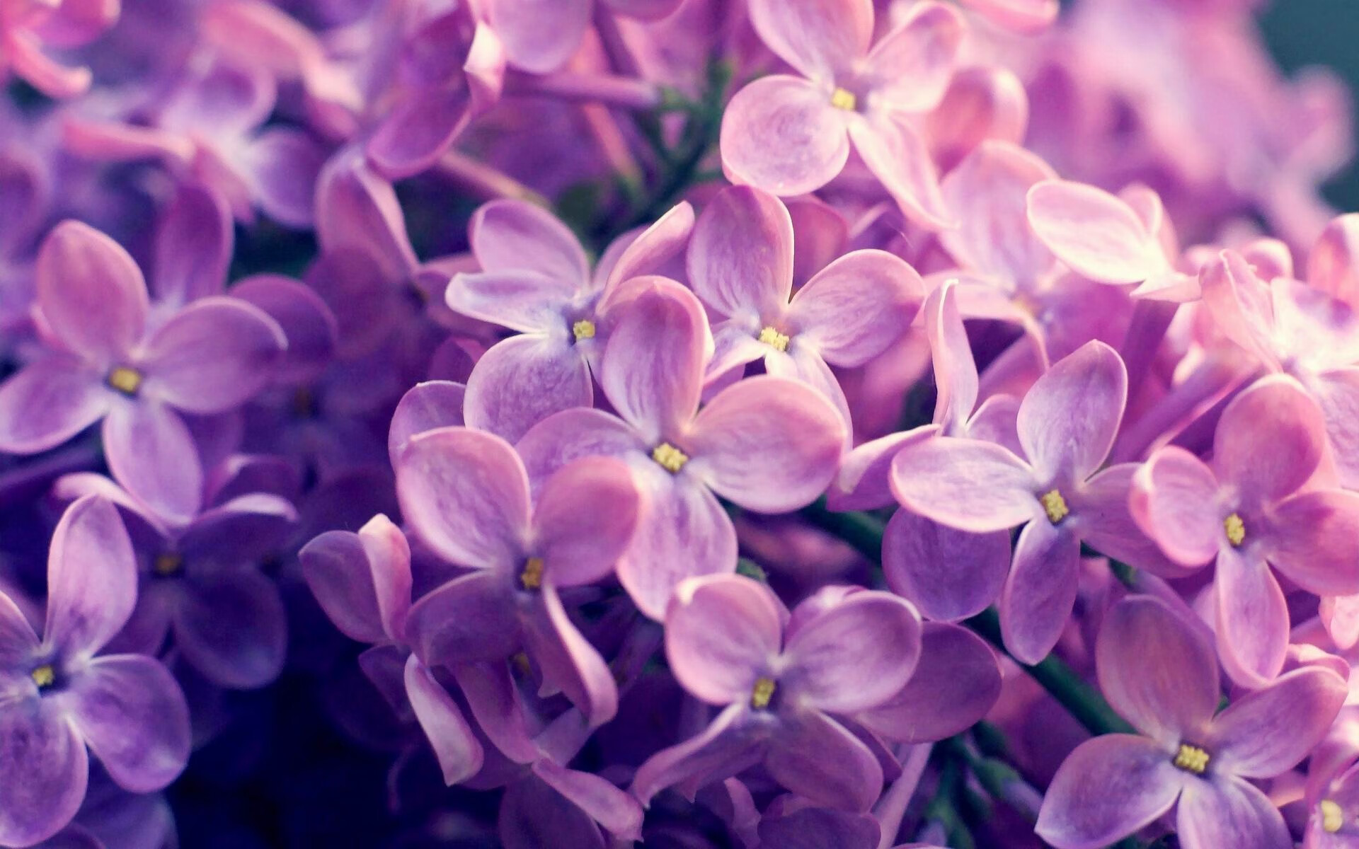 曼城引强援稳固阵容，争冠步伐稳中有进，曼城今夏引援