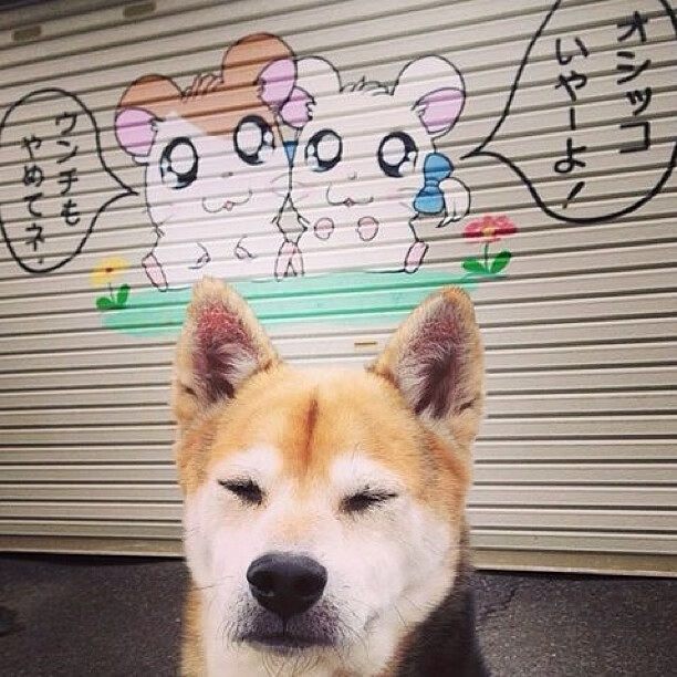 开云中国大陆-英超：利物浦2-0击败热刺，萨拉赫关键突破入球，英超-利物浦2-1逆转