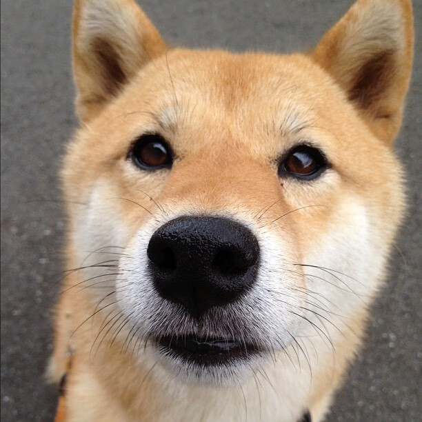 运动员训练现场：揭秘他们的日常习惯，运动员日常训练视频