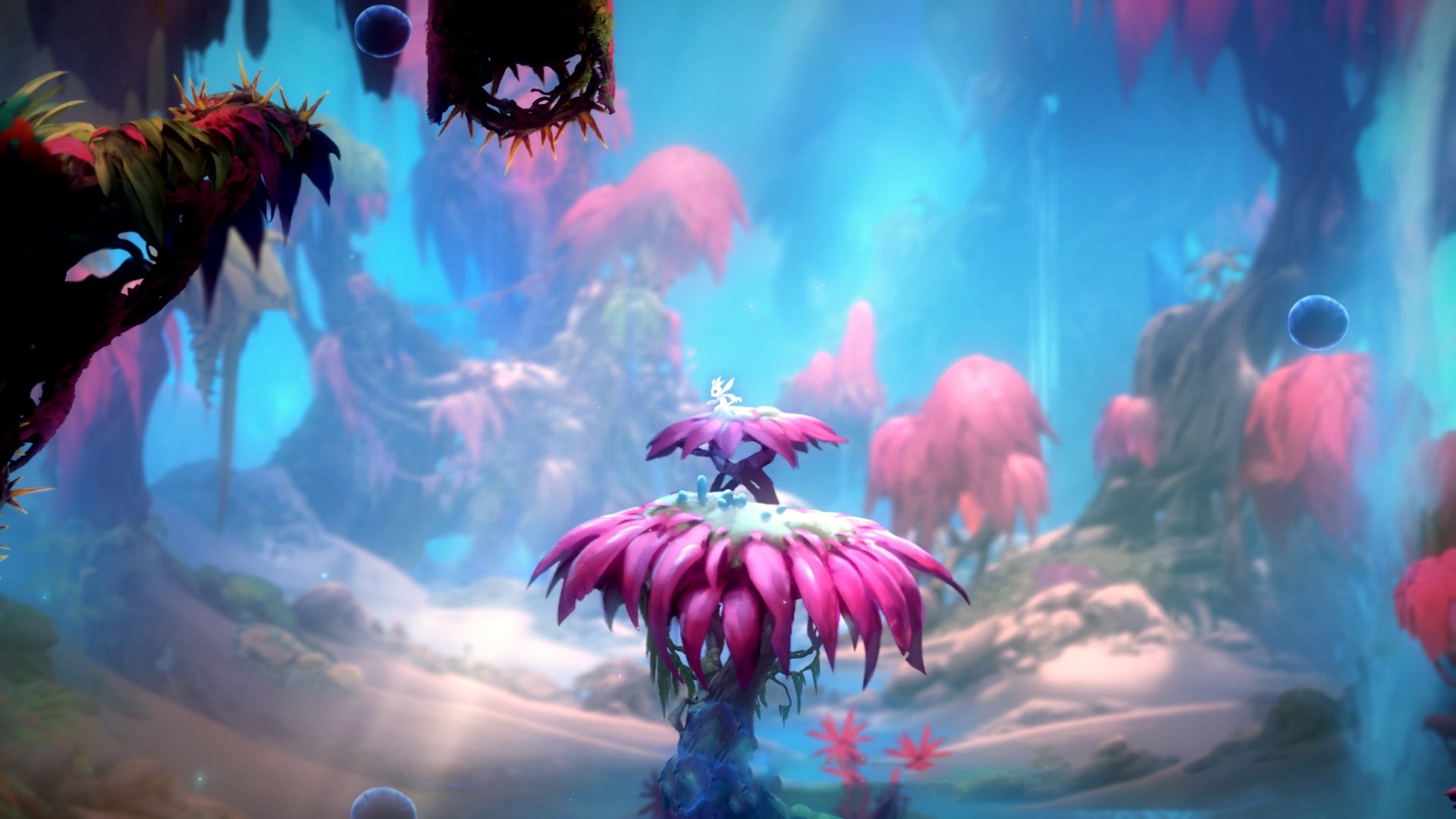 车手突发状况大揭密:面对突如其来的危机如何应对?,车辆遇到突发情况驾驶员应如何处理