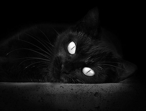 青少年足球“产业+文化”深度融合，推动行业繁荣发展，青少年足球俱乐部运营模式