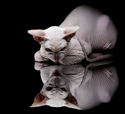 J联赛川崎前锋横滨水手备战亚冠，川崎前锋 横滨