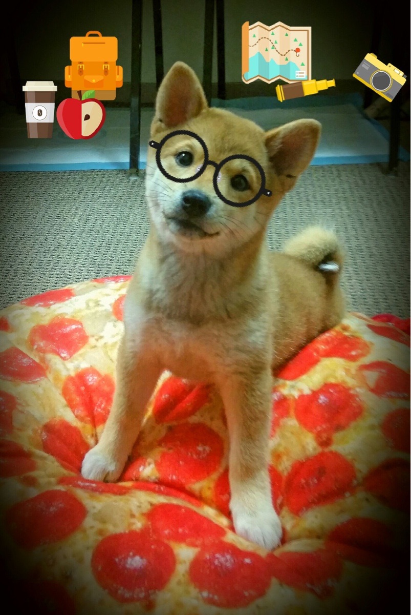 公牛球迷期待球队在休赛期进行积极操作，公牛 球队