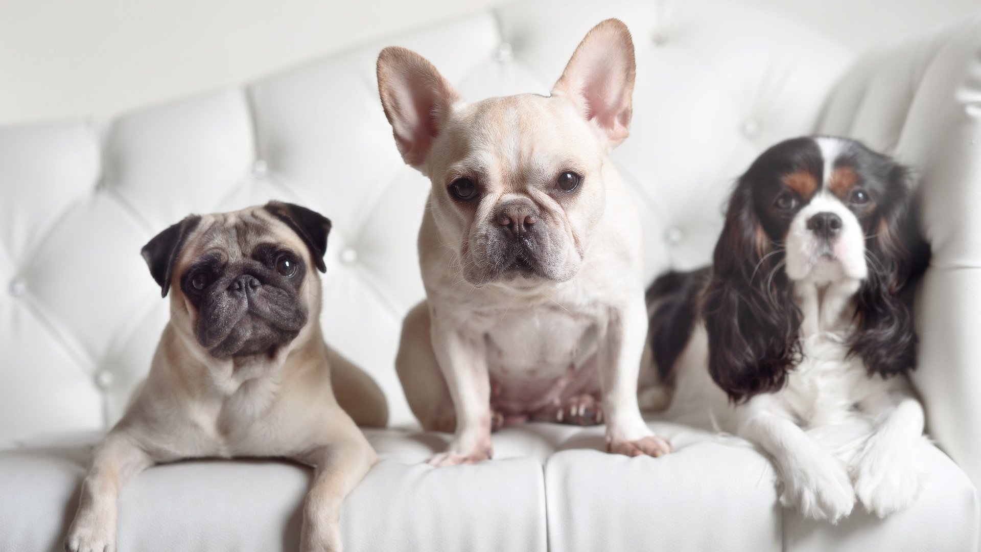 日本队战术调整奏效，赢得关键战，日本队伍