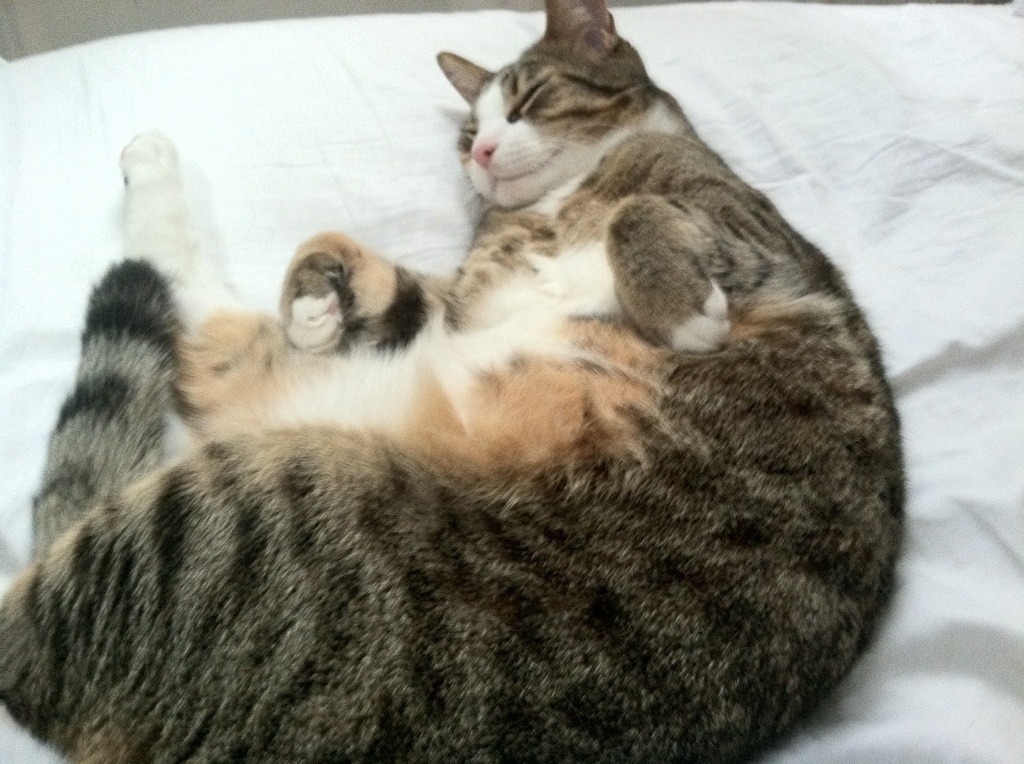 法国队在欧洲杯小组赛中仅以小组第二身份出线，欧洲杯法国小组第一出线打谁