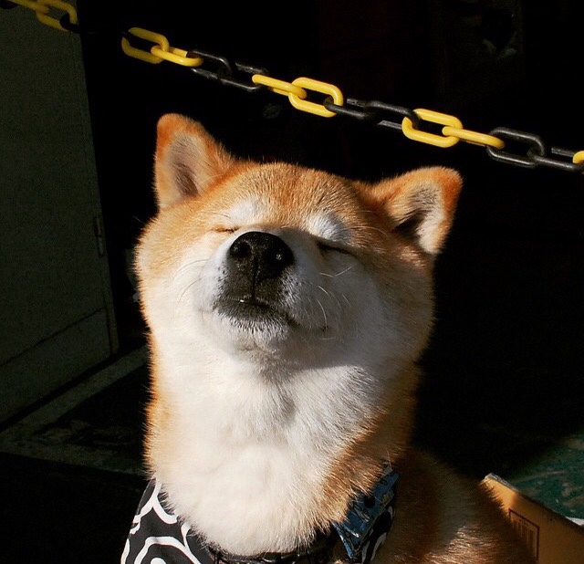 开云·Kaiyun网页版-法国篮球联赛创新赛制，吸引更多球迷关注，法国篮球超级联赛积分排名