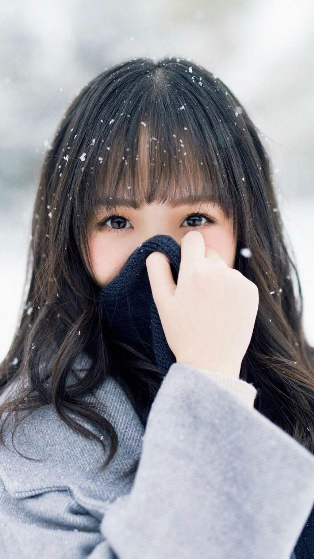 湖人连胜开局领先开拓者东区半决赛，湖人对阵开拓者