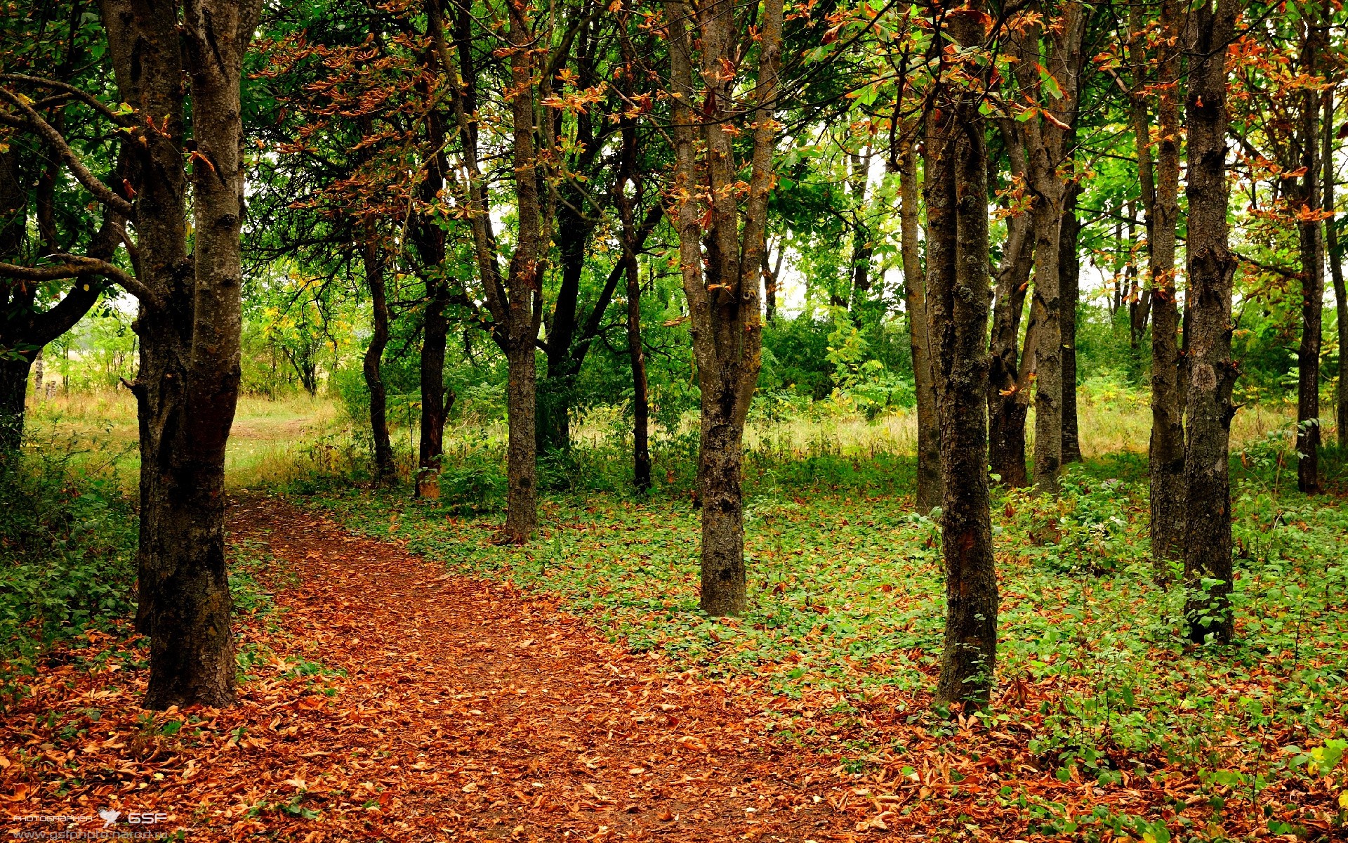 开云官方网站-电竞赛事转播技术的创新应用，电竞赛事转播与执行