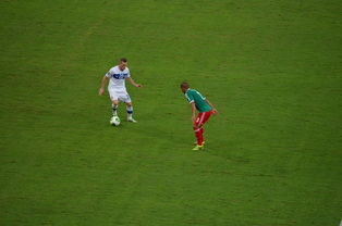 开云官网-中国足球对抗频次与伤病风险相关性，足球 对抗