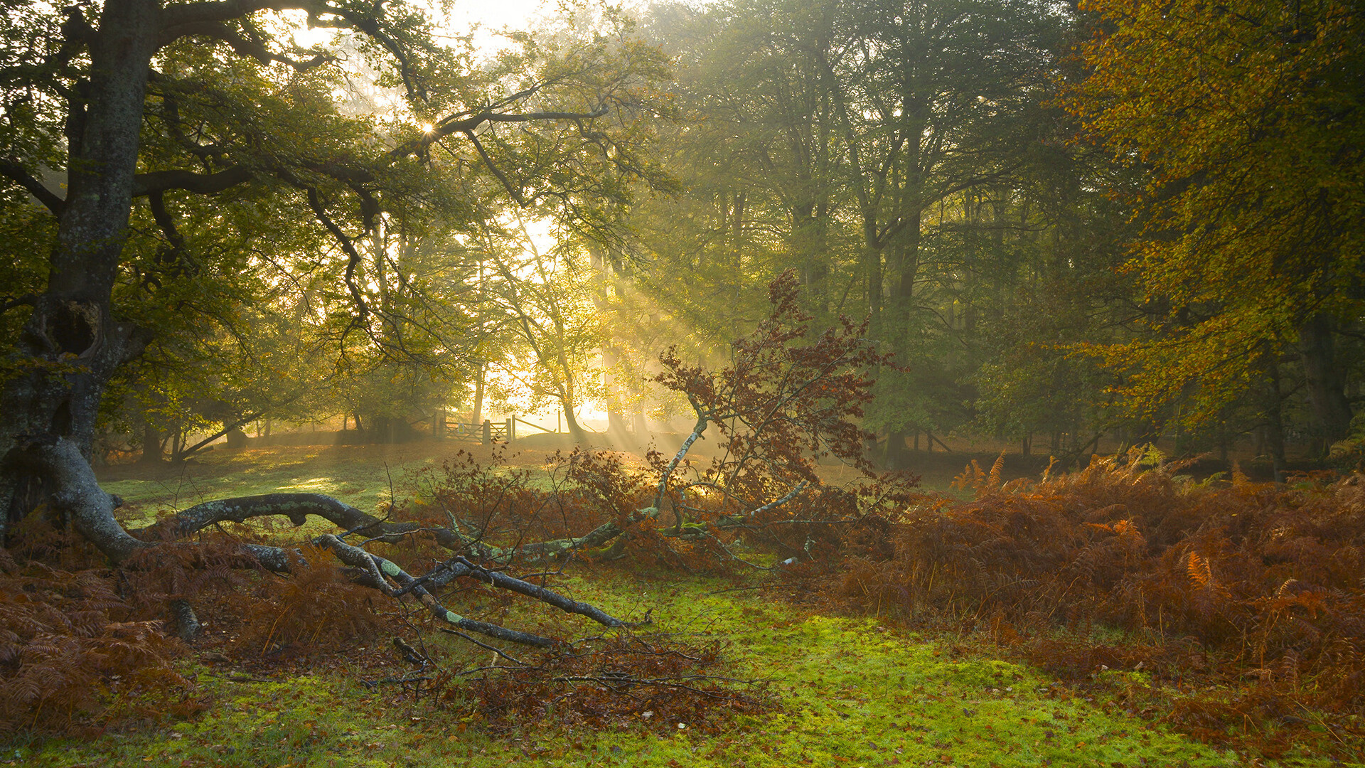 开云kaiyun-体育场馆设施智能升级，体育场馆智能化系统