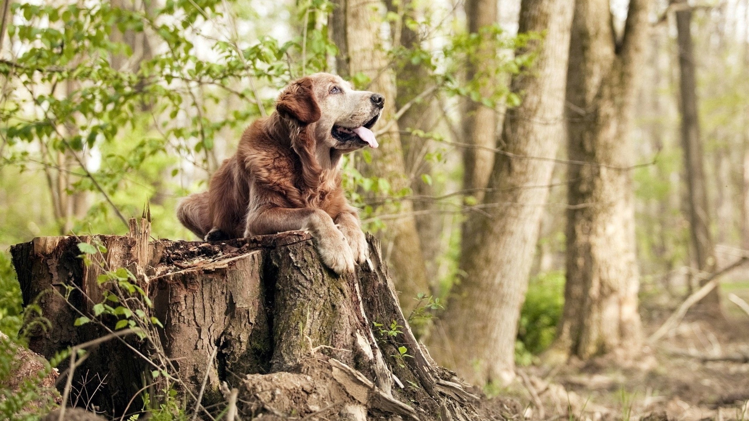 体育教育公平性现状分析与政策建议研究,体育教育政策观点