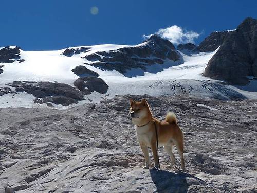 全景直播：多角度助力球迷全方位体验，全景体育直播