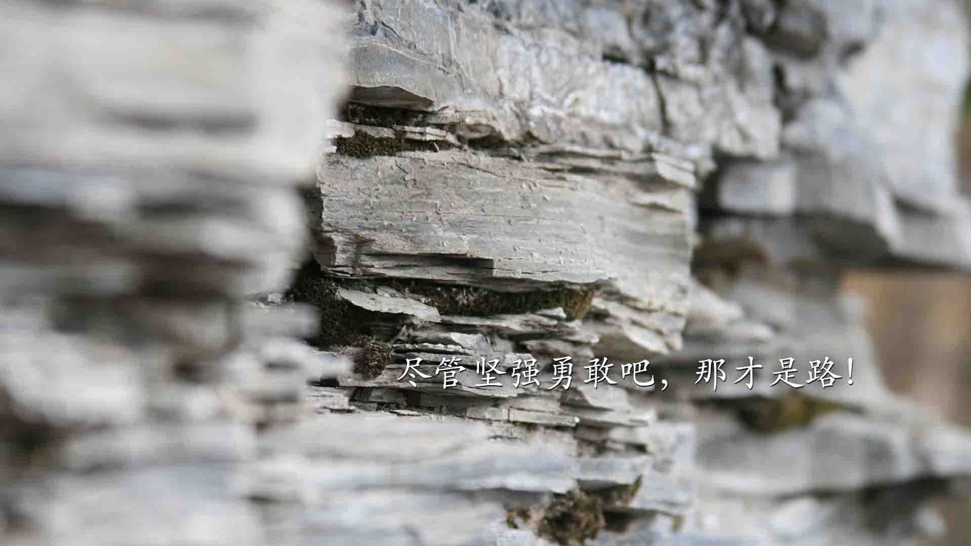 新闻中心完成研发平台搭建,新闻发布系统项目总结