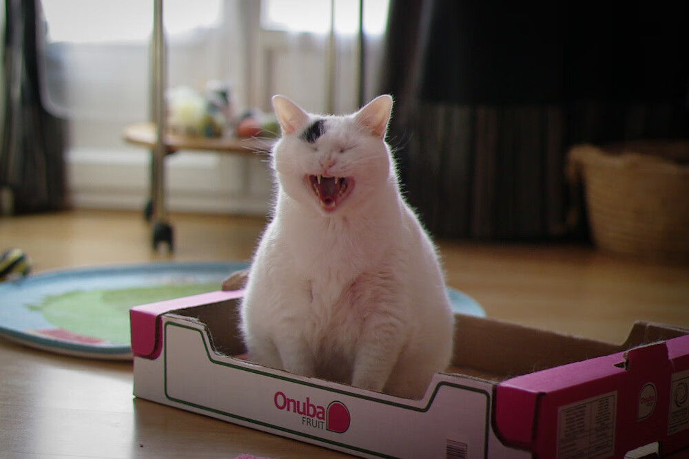 法甲球队在不同战术阵型下的运动负荷分布模拟与实证分析