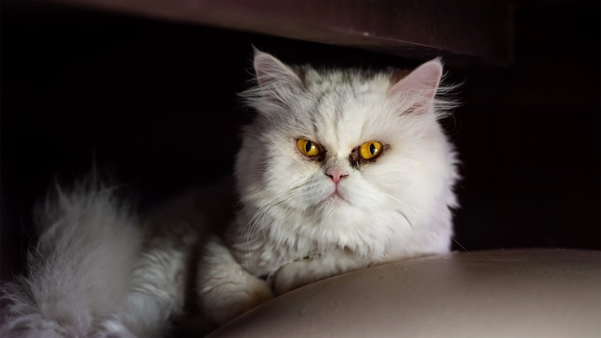 英超球队基于球员跑动热区调整攻守转换策略研究,英超球队战术