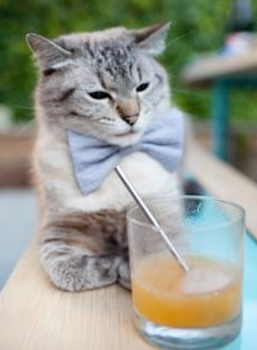 青训基金:支持青少年足球发展的创新模式,青年足球训练