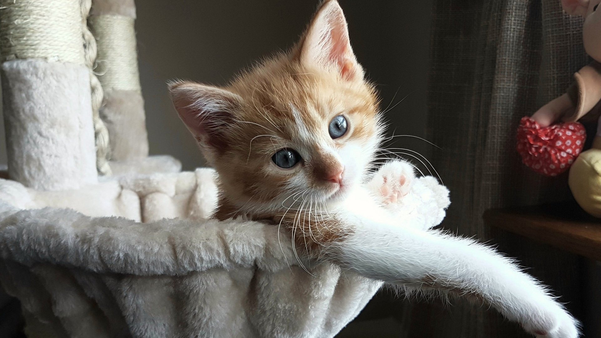 开云入口-中国足球需补强基层联赛才能筑牢顶层目标，中国足球协会关于足球竞赛规则