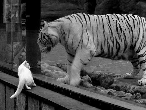 多名年轻选手崭露头角，潜力巨大