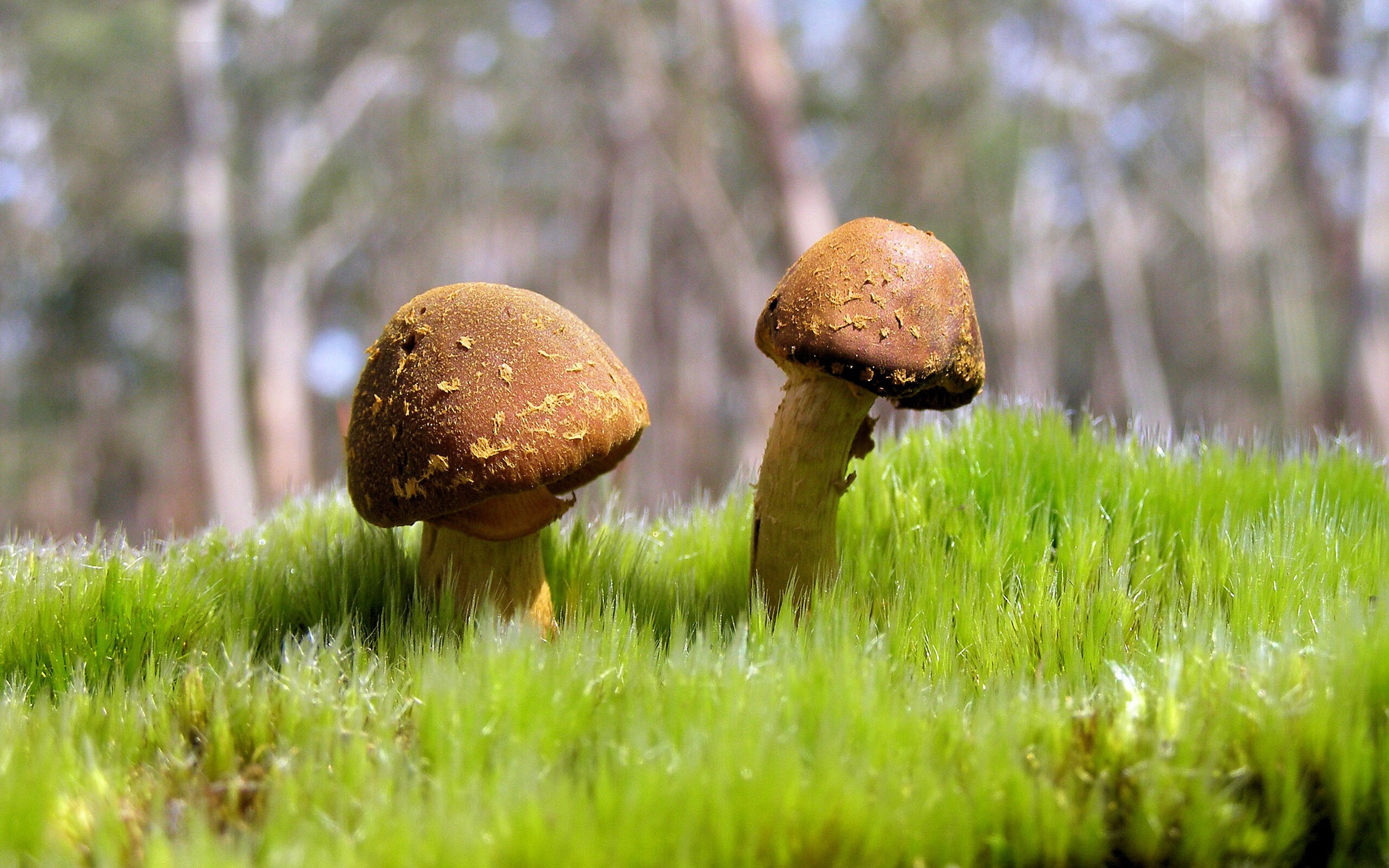 kaiyun中国官方网站-希腊队战术调整见效，小组出线形势明朗，希腊队最新大名单